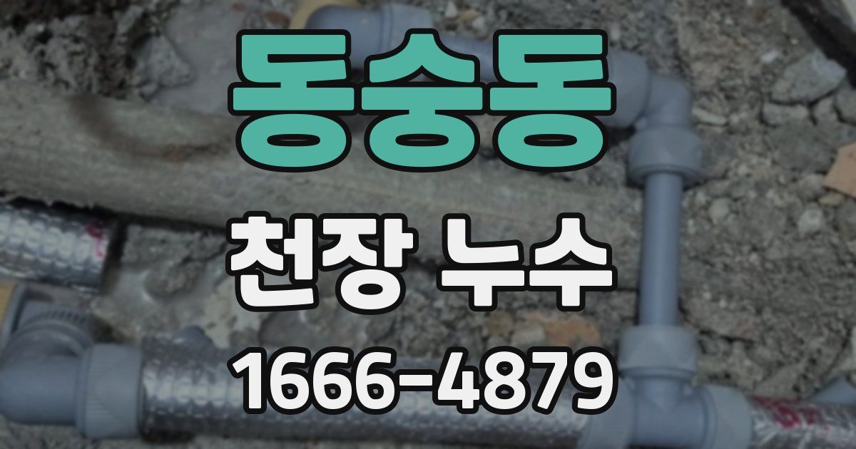 동숭동 천장 누수