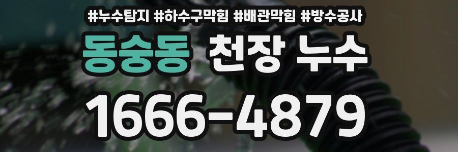 동숭동 천장 누수