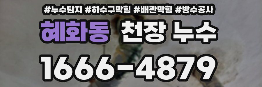 혜화동 천장 누수