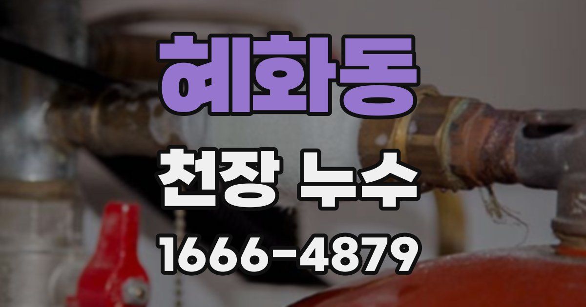혜화동 천장 누수