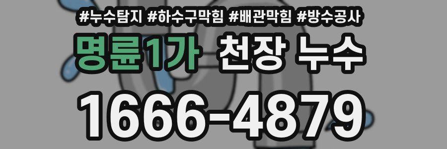 명륜1가 천장 누수