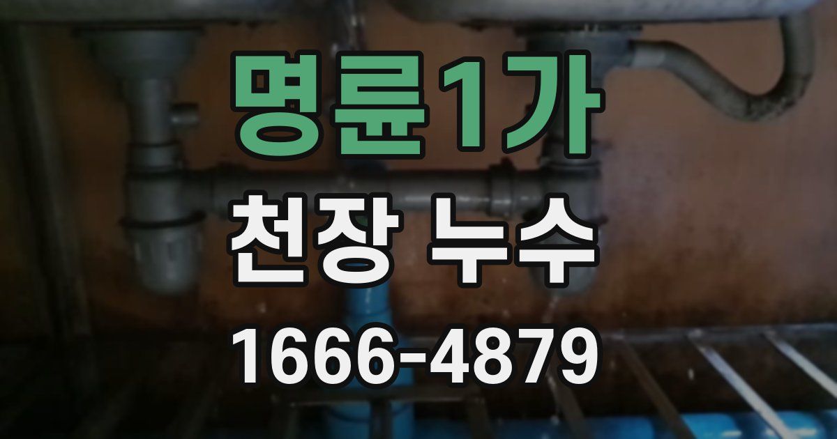 명륜1가 천장 누수