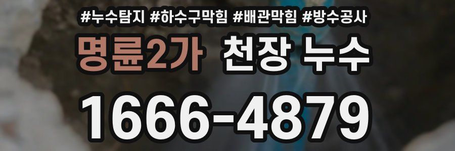 명륜2가 천장 누수