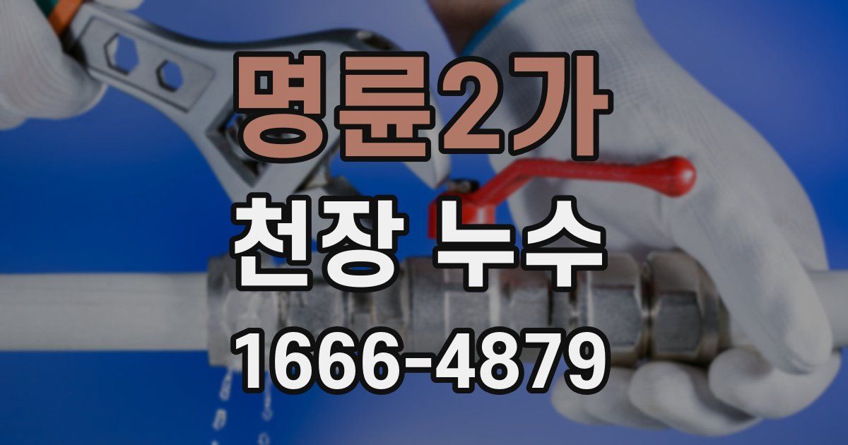 명륜2가 천장 누수