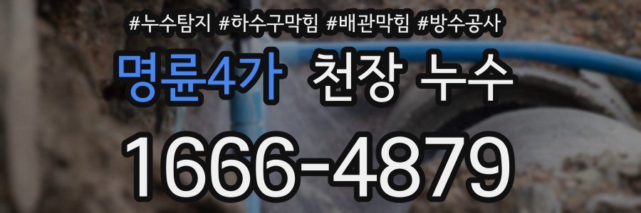 명륜4가 천장 누수