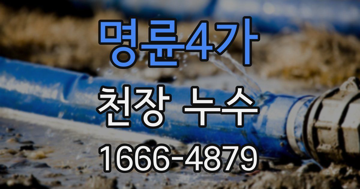 명륜4가 천장 누수