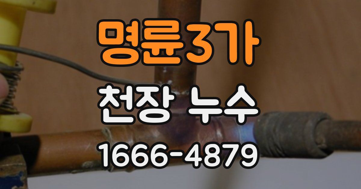 명륜3가 천장 누수