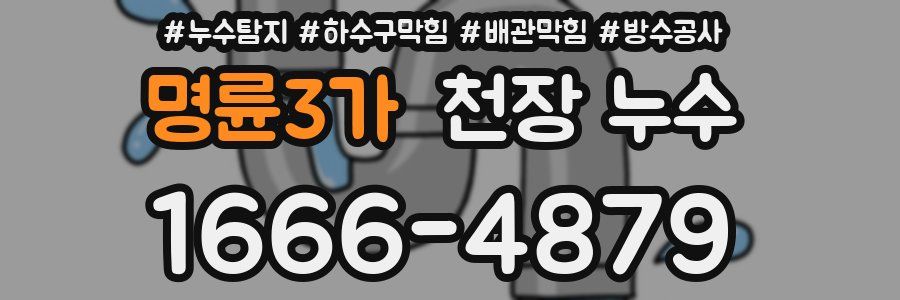 명륜3가 천장 누수