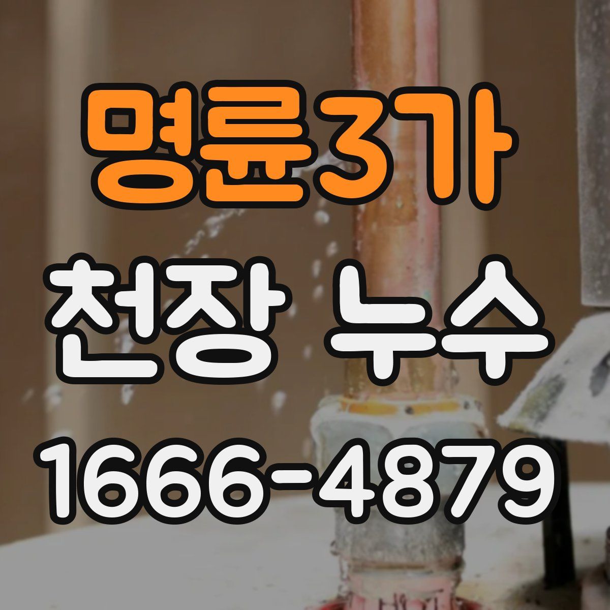 명륜3가 천장 누수