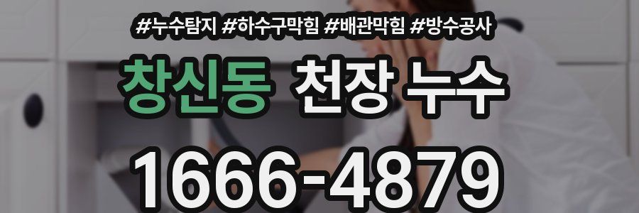 창신동 천장 누수