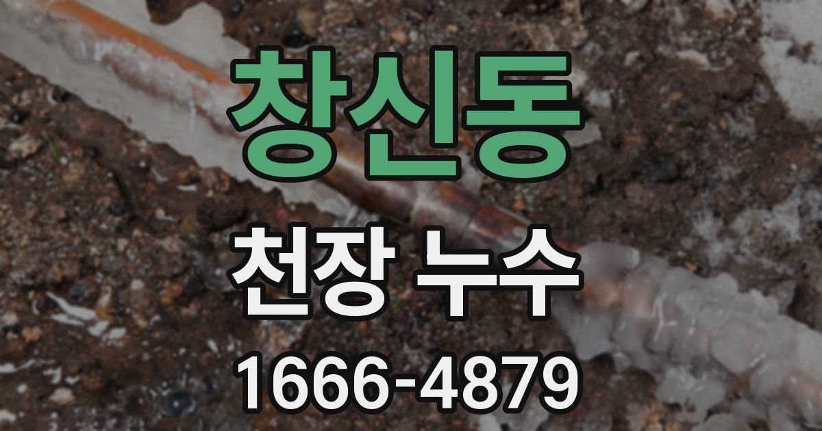 창신동 천장 누수