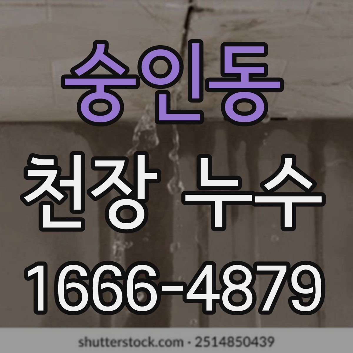 숭인동 천장 누수
