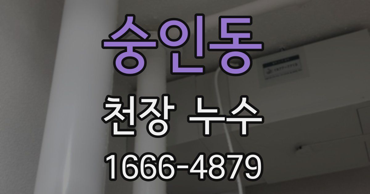 숭인동 천장 누수