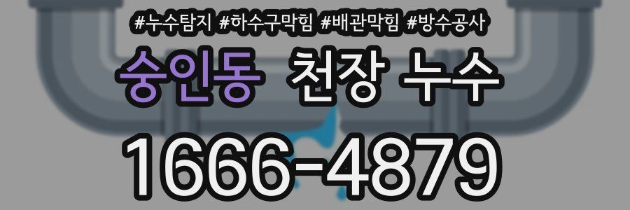 숭인동 천장 누수