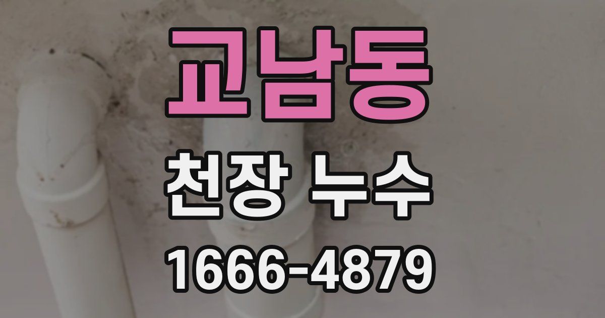 교남동 천장 누수