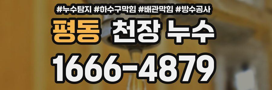 평동 천장 누수