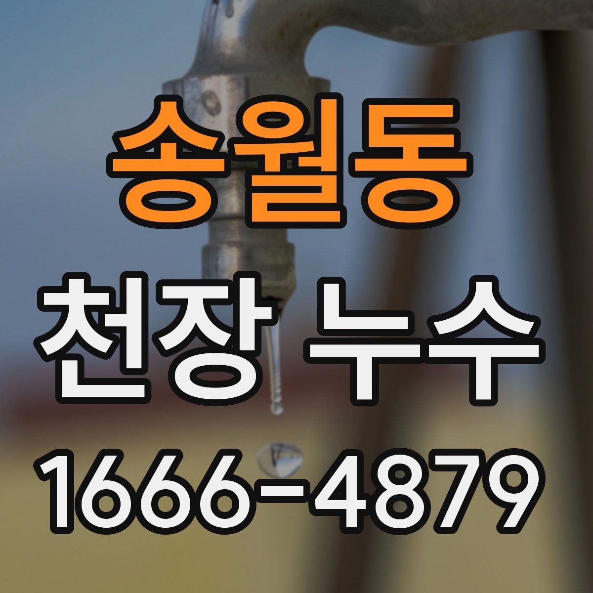 송월동 천장 누수