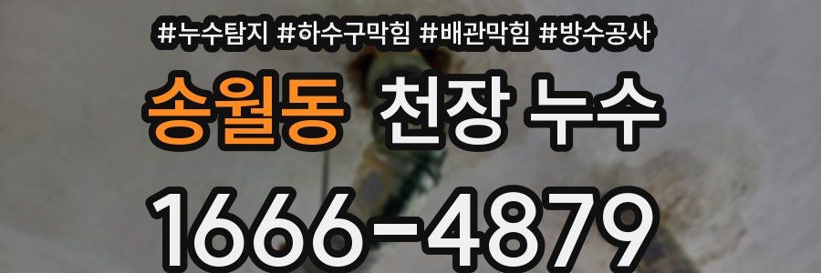 송월동 천장 누수