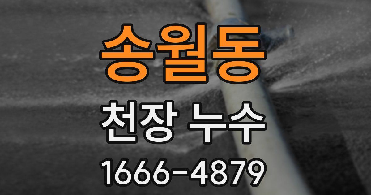 송월동 천장 누수