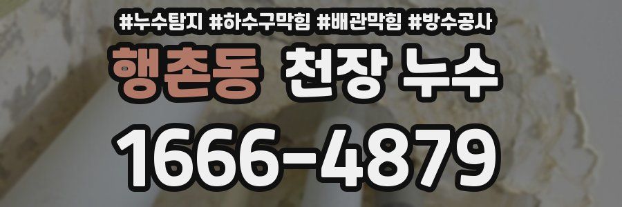 행촌동 천장 누수