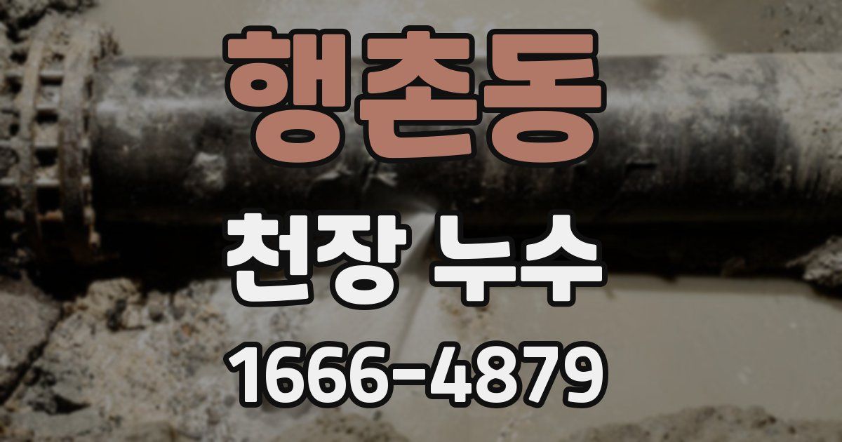 행촌동 천장 누수