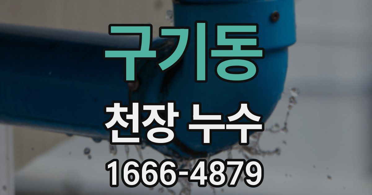 구기동 천장 누수
