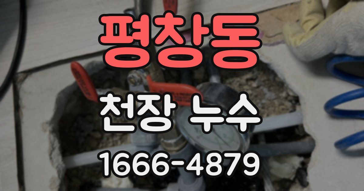 평창동 천장 누수