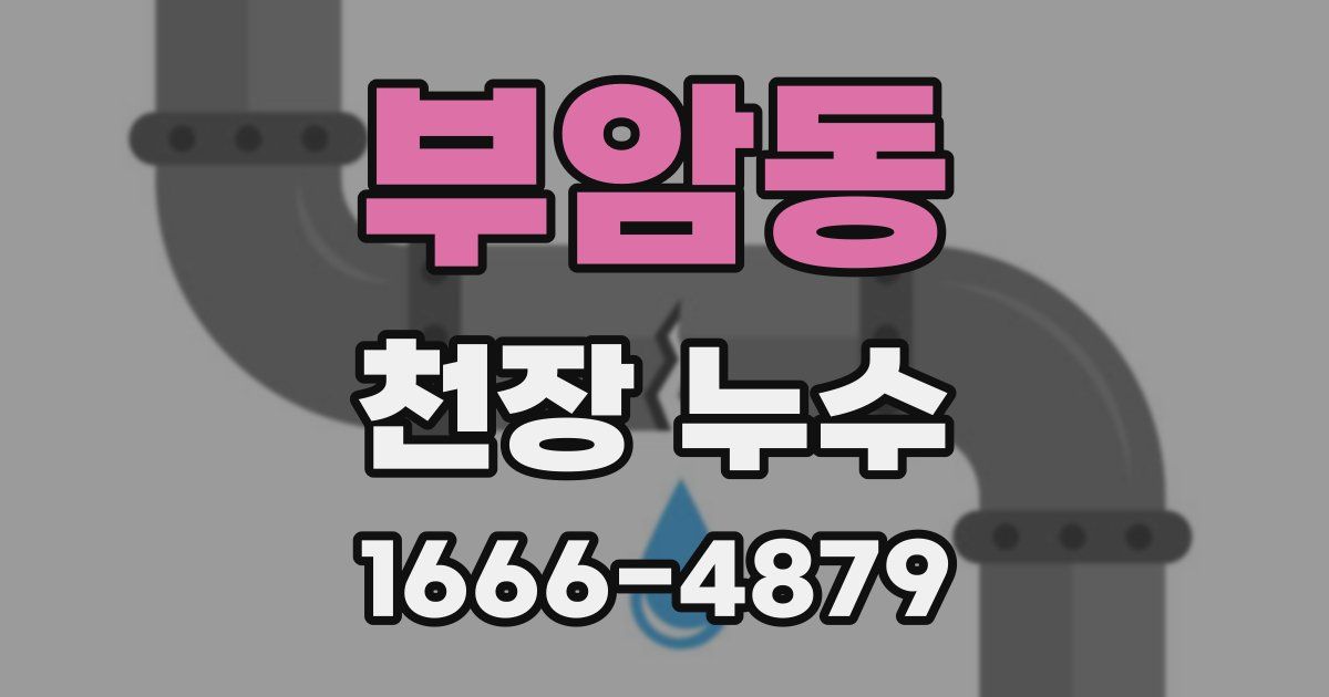 부암동 천장 누수