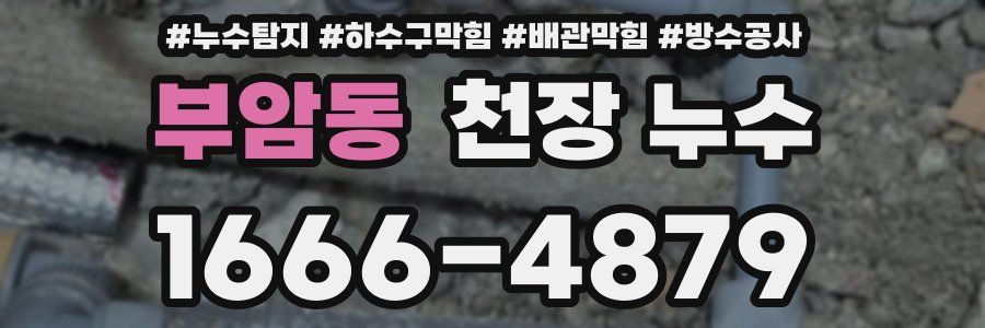 부암동 천장 누수
