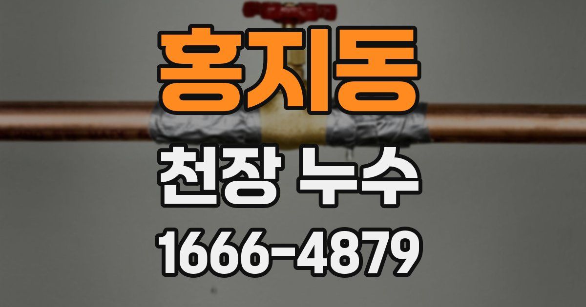 홍지동 천장 누수