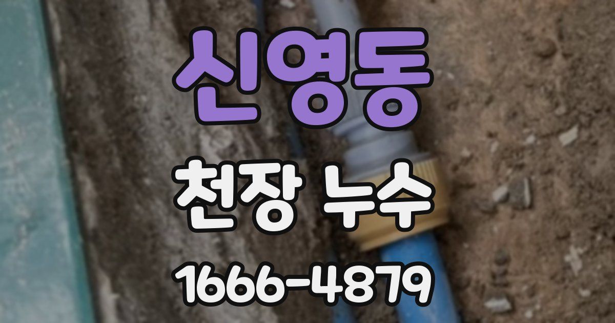 신영동 천장 누수