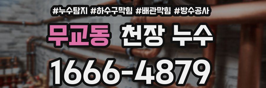 무교동 천장 누수