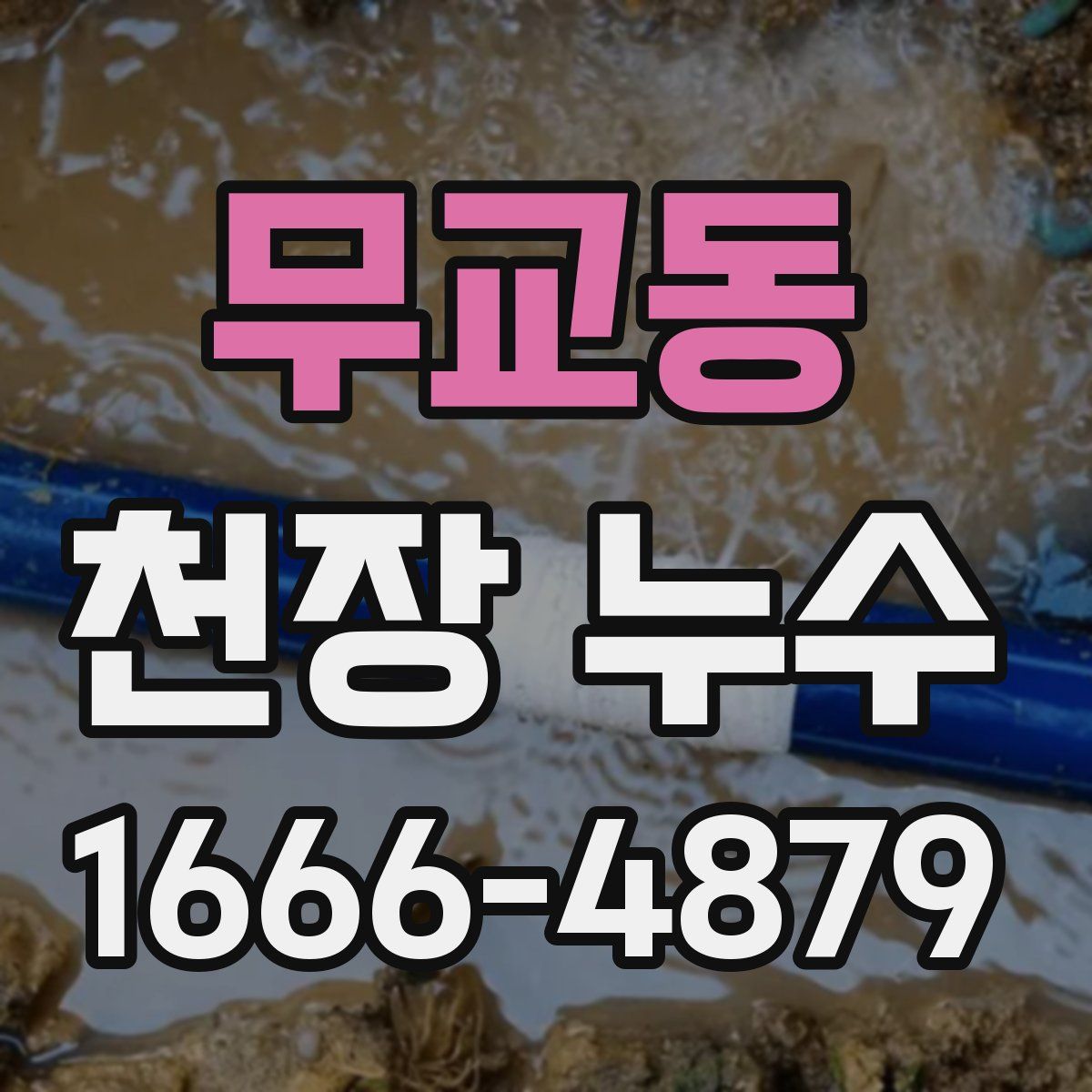 무교동 천장 누수