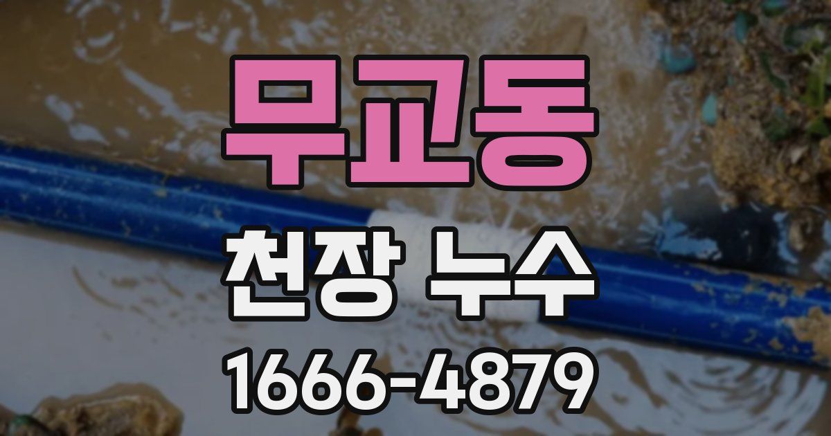 무교동 천장 누수