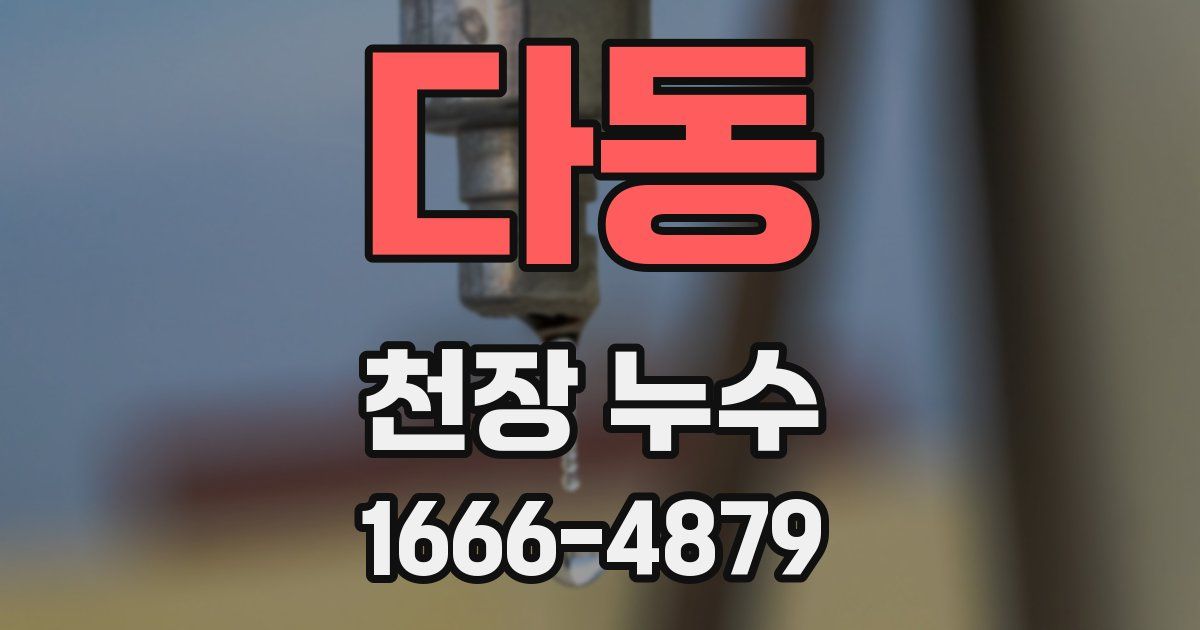 다동 천장 누수