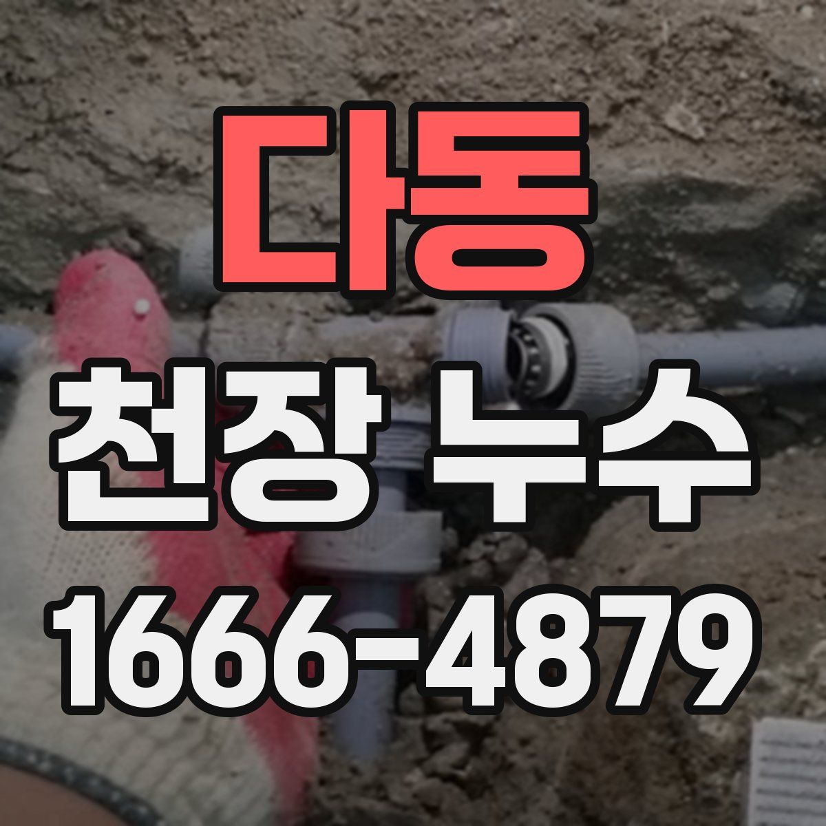 다동 천장 누수