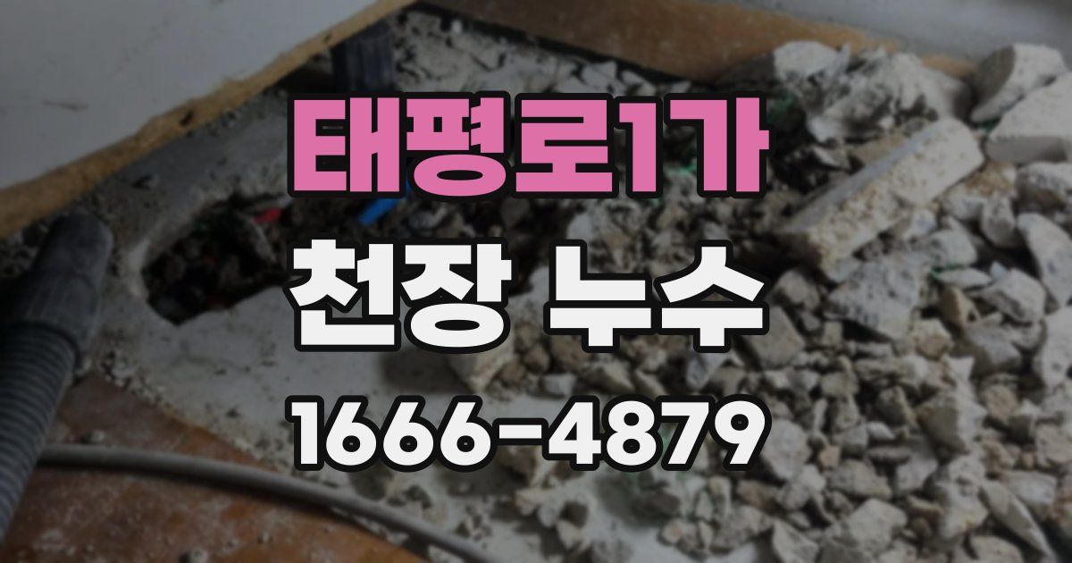 태평로1가 천장 누수