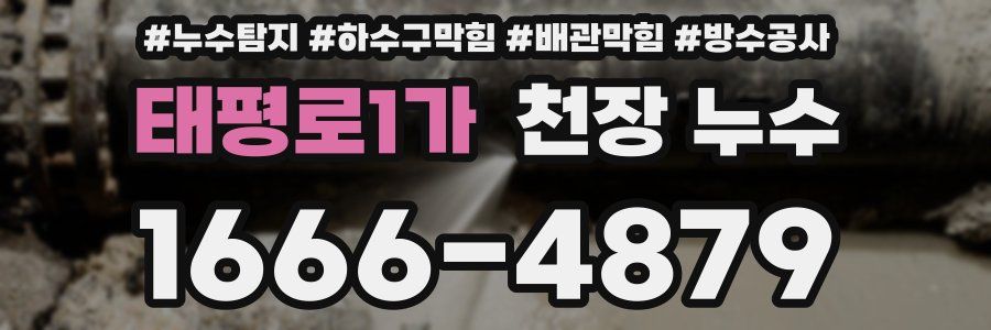 태평로1가 천장 누수