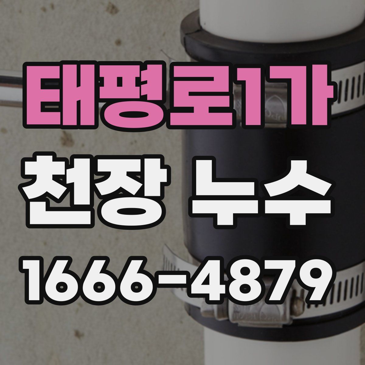 태평로1가 천장 누수
