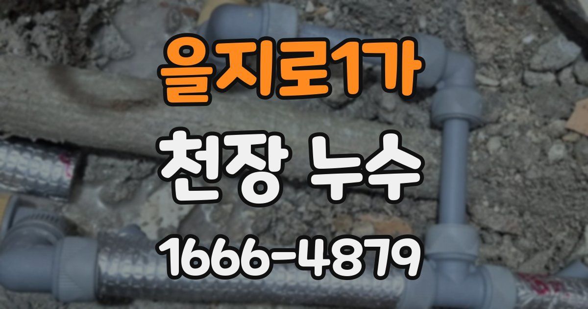 을지로1가 천장 누수