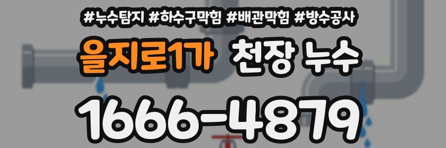 을지로1가 천장 누수