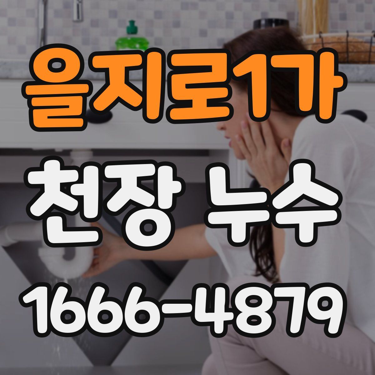을지로1가 천장 누수