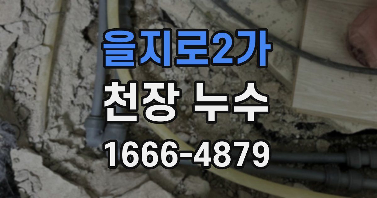 을지로2가 천장 누수