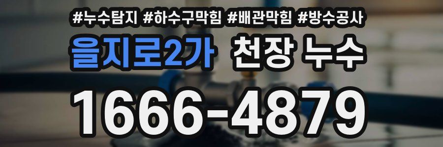 을지로2가 천장 누수