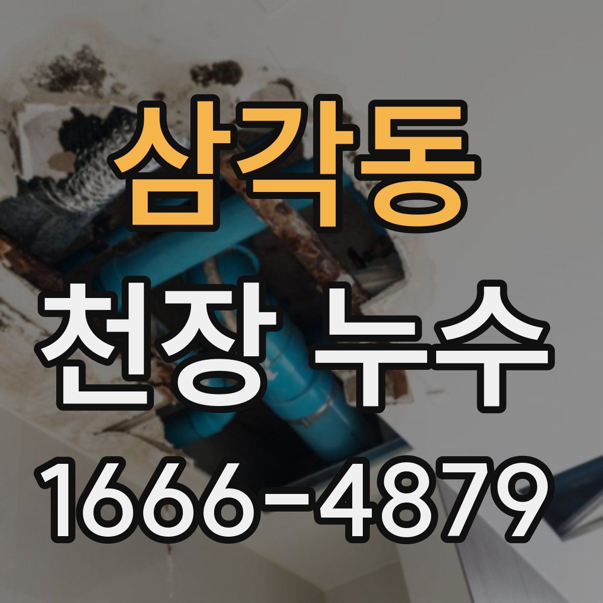 삼각동 천장 누수