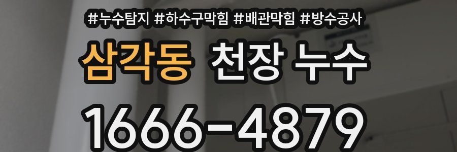 삼각동 천장 누수
