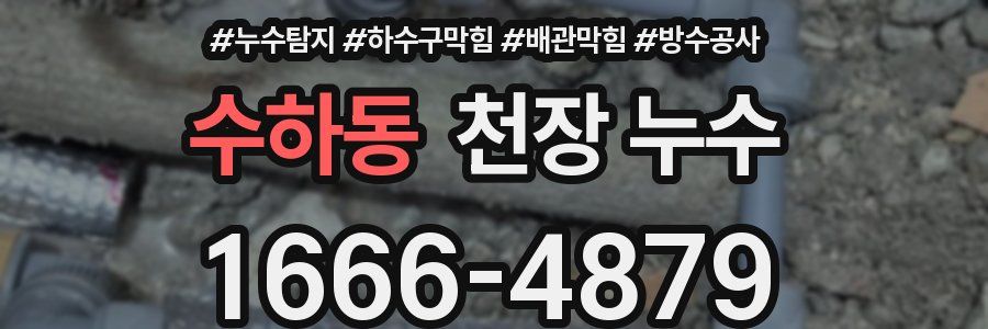 수하동 천장 누수