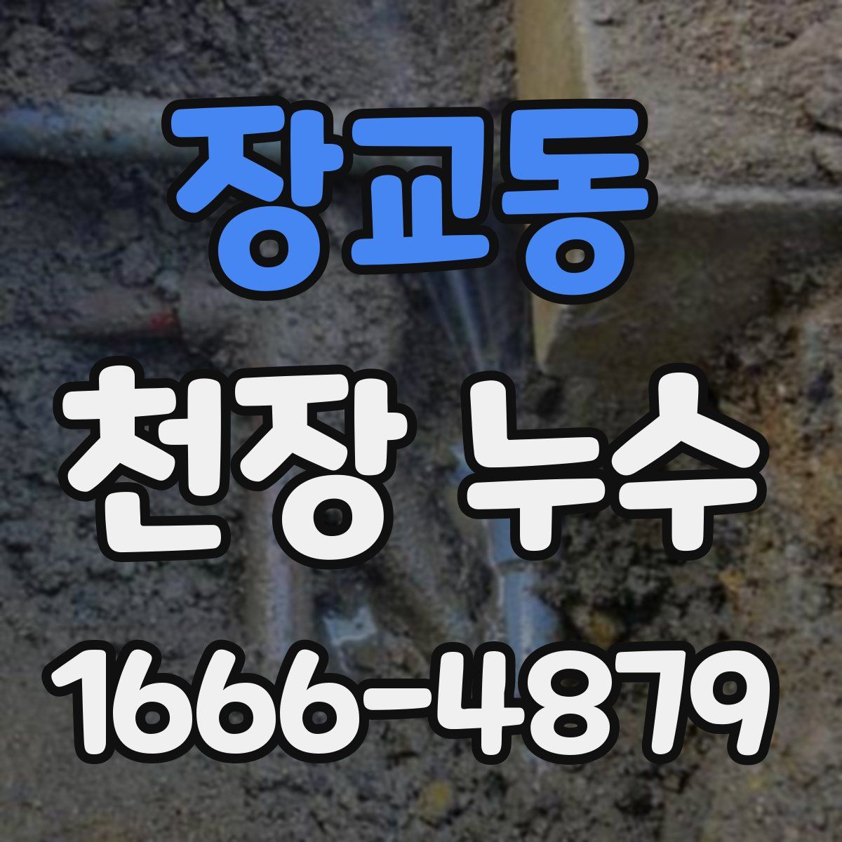 장교동 천장 누수
