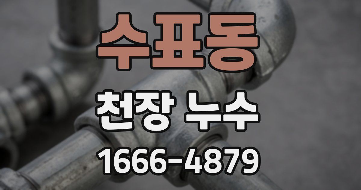 수표동 천장 누수