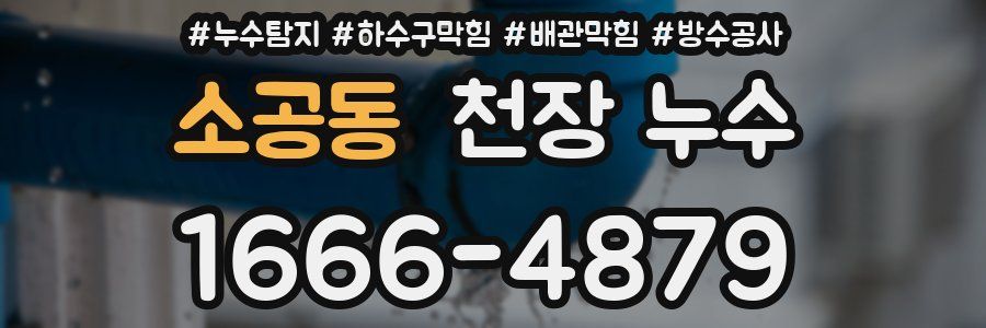 소공동 천장 누수